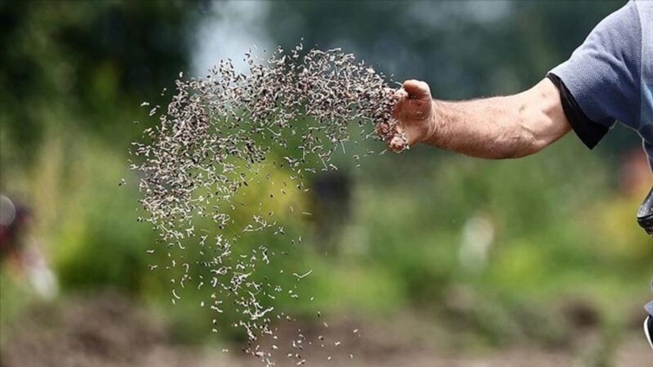 Türkiye tohum ihracatında yeni rekor kırdı