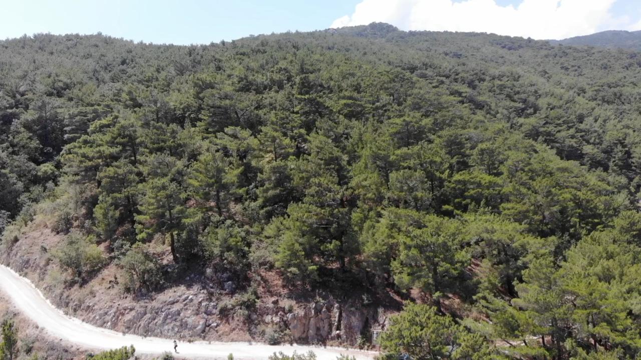 Bursa'da ormanlık alanlara girişler yasaklandı