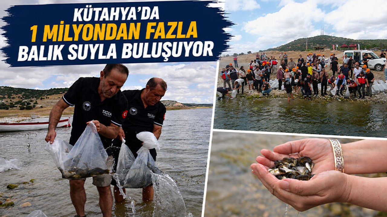 Kütahya’da iç su kaynakları balıklandırılıyor