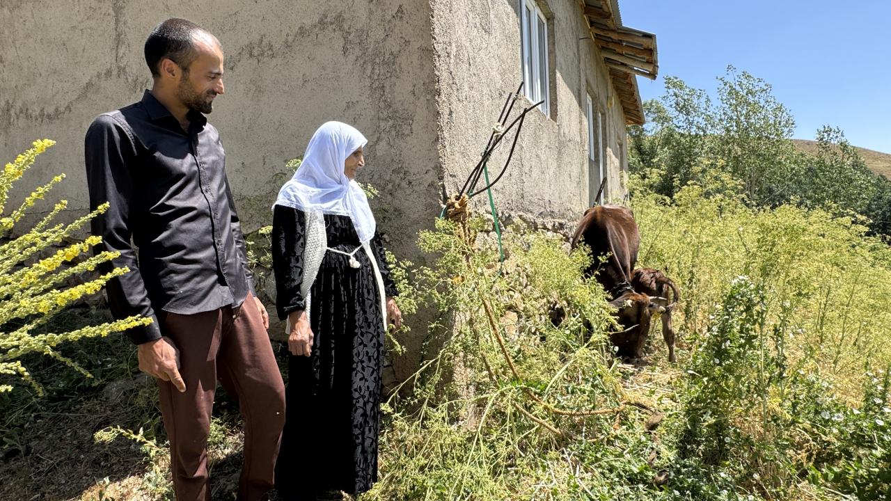 Yüksekova Kaymakamı ineği telef olan aileye inek ve buzağı hediye etti